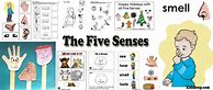 Image result for Five Senses Smell Activities