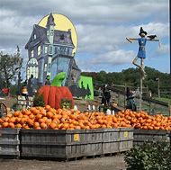 Image result for Pumpkin Farms Near Me