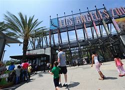 Image result for Los Angeles Zoo Bull