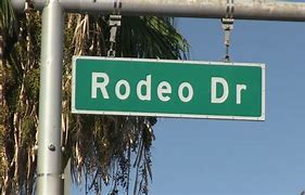 Image result for Wildflower Case Rodeo Drive