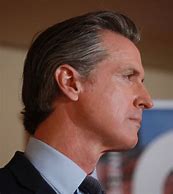 Image result for Gavin Newsom Recall