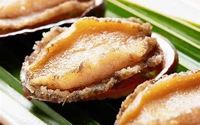 Image result for Abalone Shell Food