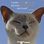 Image result for White Cat Quotes
