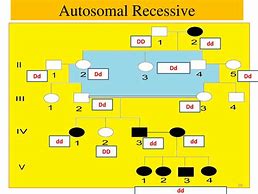 Image result for Autosomal Recessive Diagram
