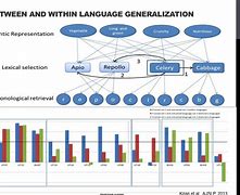 Image result for Bilingual Aphasia