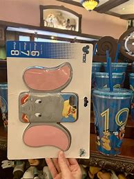 Image result for Disneyland Customized Phone Case