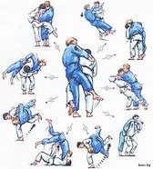 Image result for Common Judo Throws