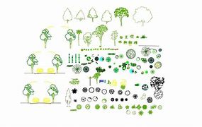 Image result for CAD Block of Trees with Name of Tree