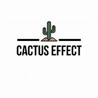 Image result for Vision Soft Reset Cactus