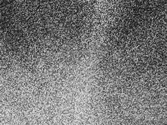 Image result for Seamless White Noise Black Texture
