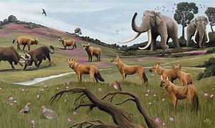 Image result for 50000 BC
