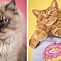 Image result for Fat Cat Pics