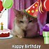 Image result for Happy Birthday Stay-Cool Cat