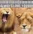 Image result for I Love You Funny
