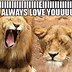 Image result for Love iPhone Memes