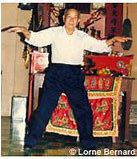 Image result for Shaolin White Crane Kung Fu Forms