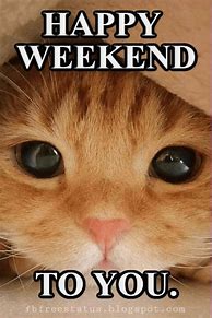 Image result for Awesome Weekend Meme