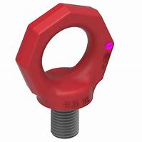 Image result for Eye Bolt with Ring