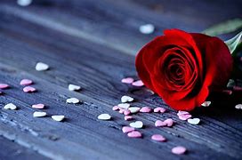 Image result for Beautiful Heart Flowers