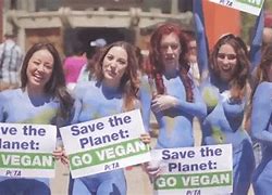 Image result for Why Be a Vegan