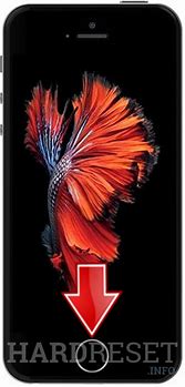Image result for iPhone 5S Hard Reset