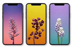 Image result for iPhone 6 Size Compared to iPhone X