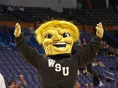 Image result for Funny College Mascots