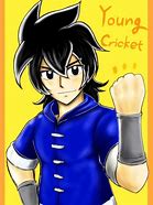 Image result for cricket anime series