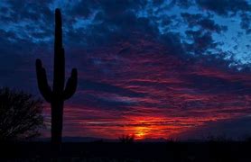 Image result for Tucson Arizona Night Sky