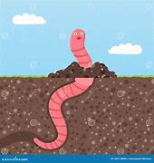 Image result for Worm in Dirt Cartoon
