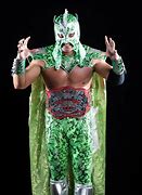 Image result for Ultimo Dragon 8 Titles