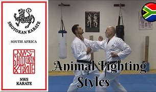 Image result for Animal Fighting Styles