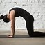 Image result for Yoga for Back Pain