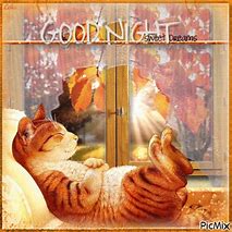 Image result for Good Night Sweet Dreams Cat