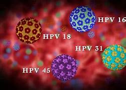 Image result for HPV Disease