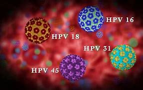 Image result for Human Papilloma Viruses Diseases