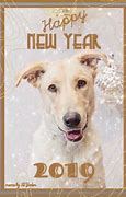 Image result for Happy New Year 2019 Dog Funny