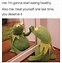 Image result for Kermit the Frog Yay Meme