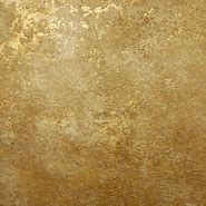 Image result for Champagne Golden Wall