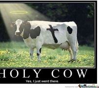 Image result for Cow Work Meme