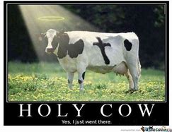 Image result for Sacred Cow Meme