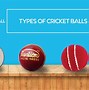 Image result for Cricket Bat Details