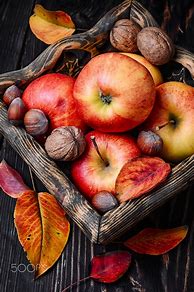 Image result for Apple Fruit Photography