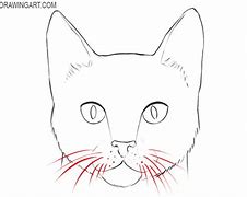 Image result for Cat Face Sketch