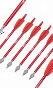 Image result for Crossbow Arrows Bolts