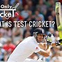 Image result for Information About Cricket Test