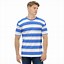 Image result for Hang Ten Blue and White Striped T-Shirt