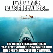 Image result for Jaws Memes Funny