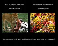 Image result for Fruitarian Animals