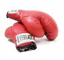 Image result for Red Boxing Gloves Everlast